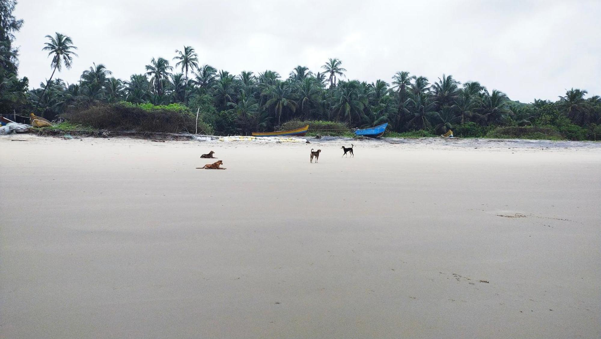 Samant Beach Resort Малван Экстерьер фото